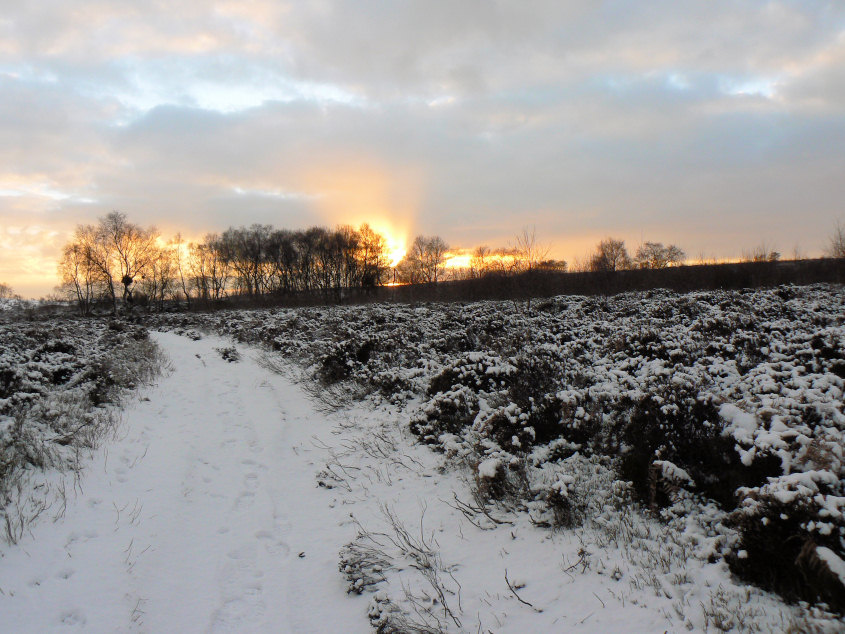 Stanton Moor Stanton Moor